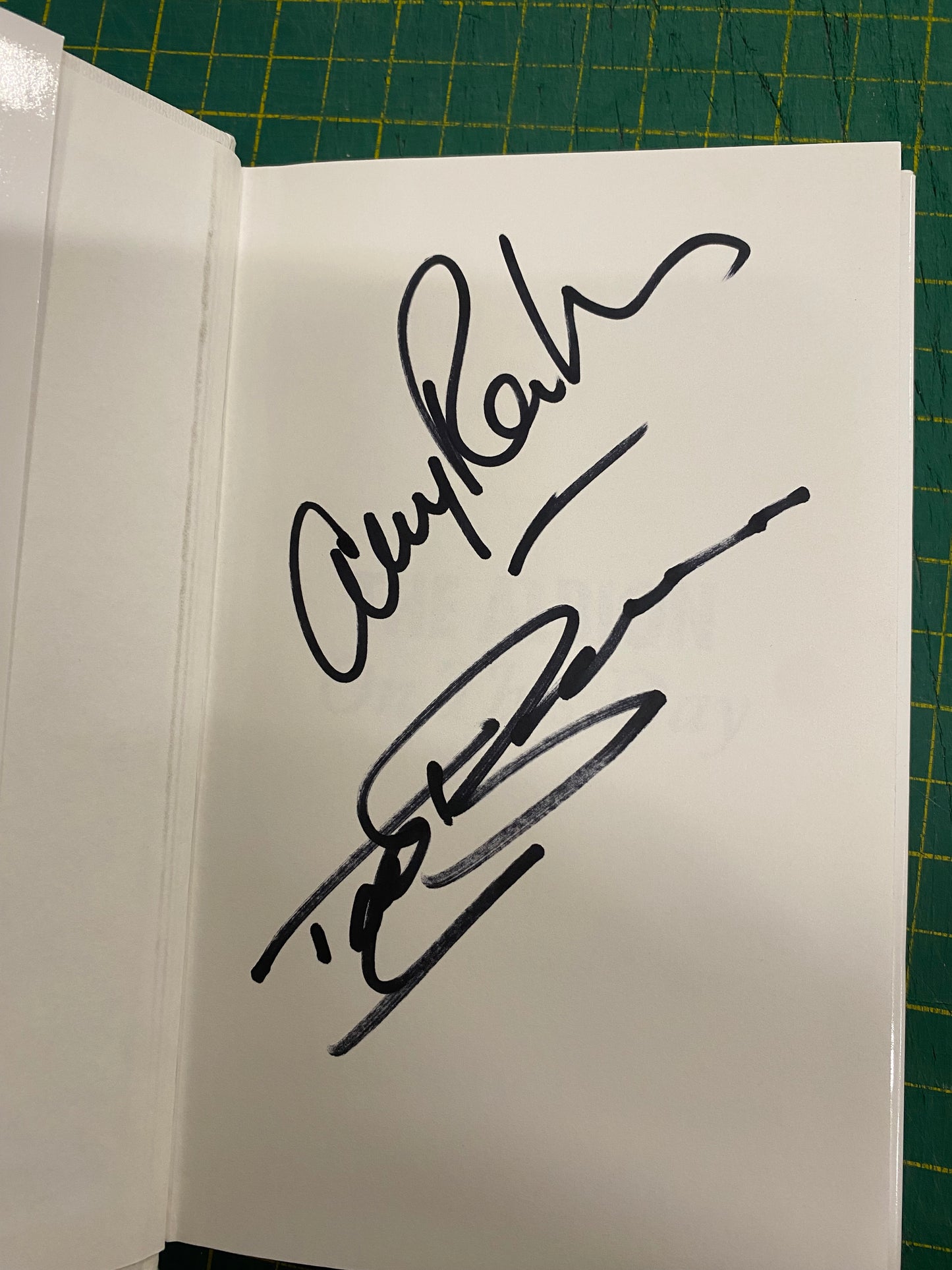 West Bromwich Albion The Albion On This Day personally signed by Tony Brown & Ally Robertson