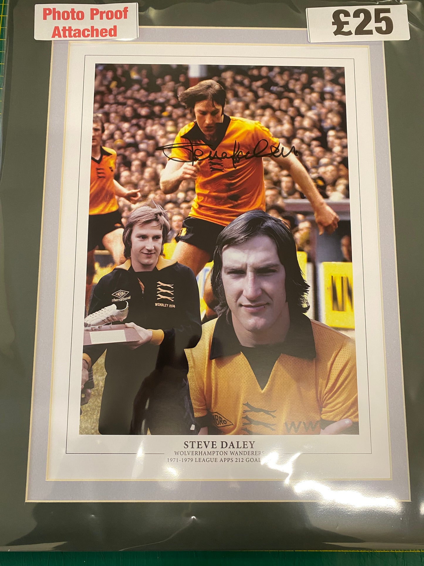 Wolverhampton Wanderers Steve Daley personally signed limited edition print