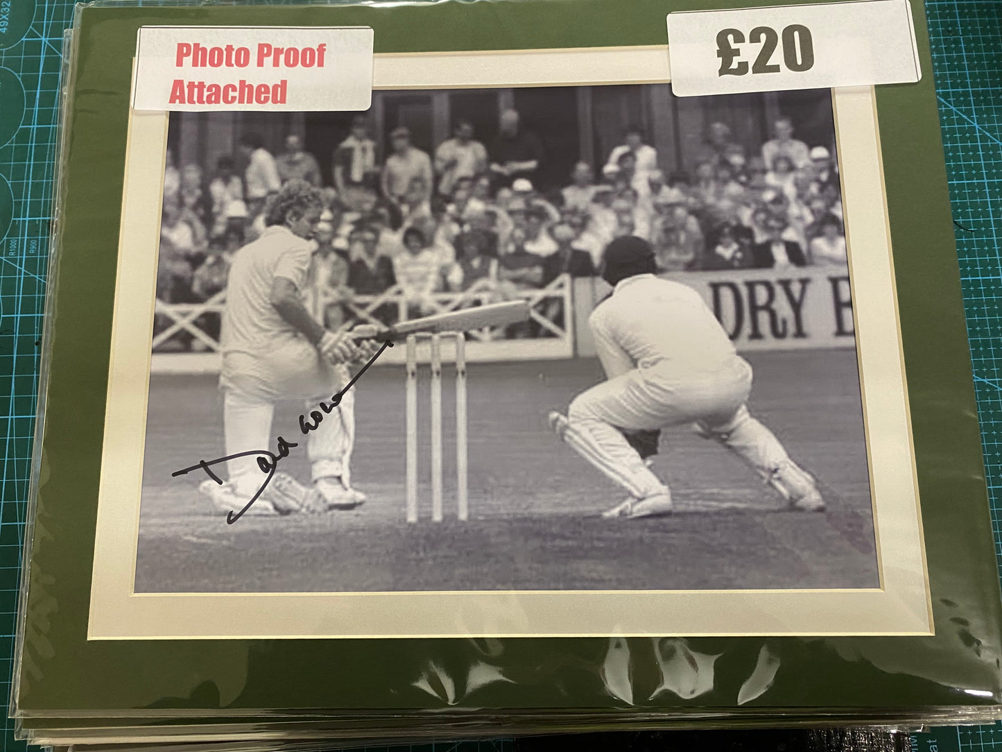 Cricket David Gower personally signed photograph