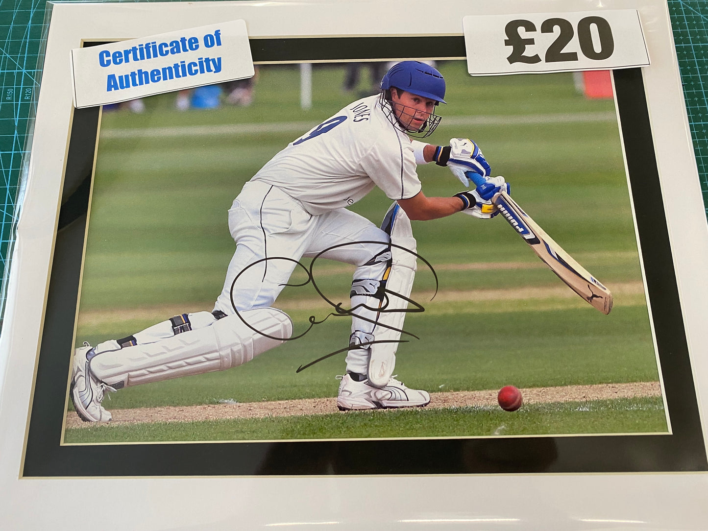 Cricket Geraint Jones personally signed photograph