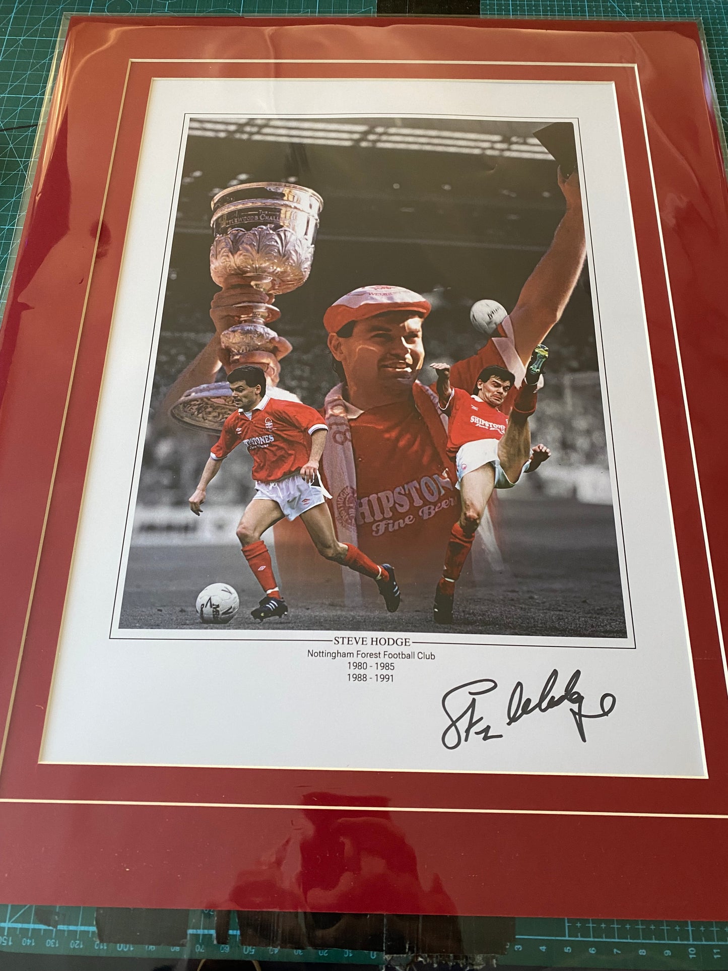 Nottingham Forest Steve Hodge personally signed limited edition print