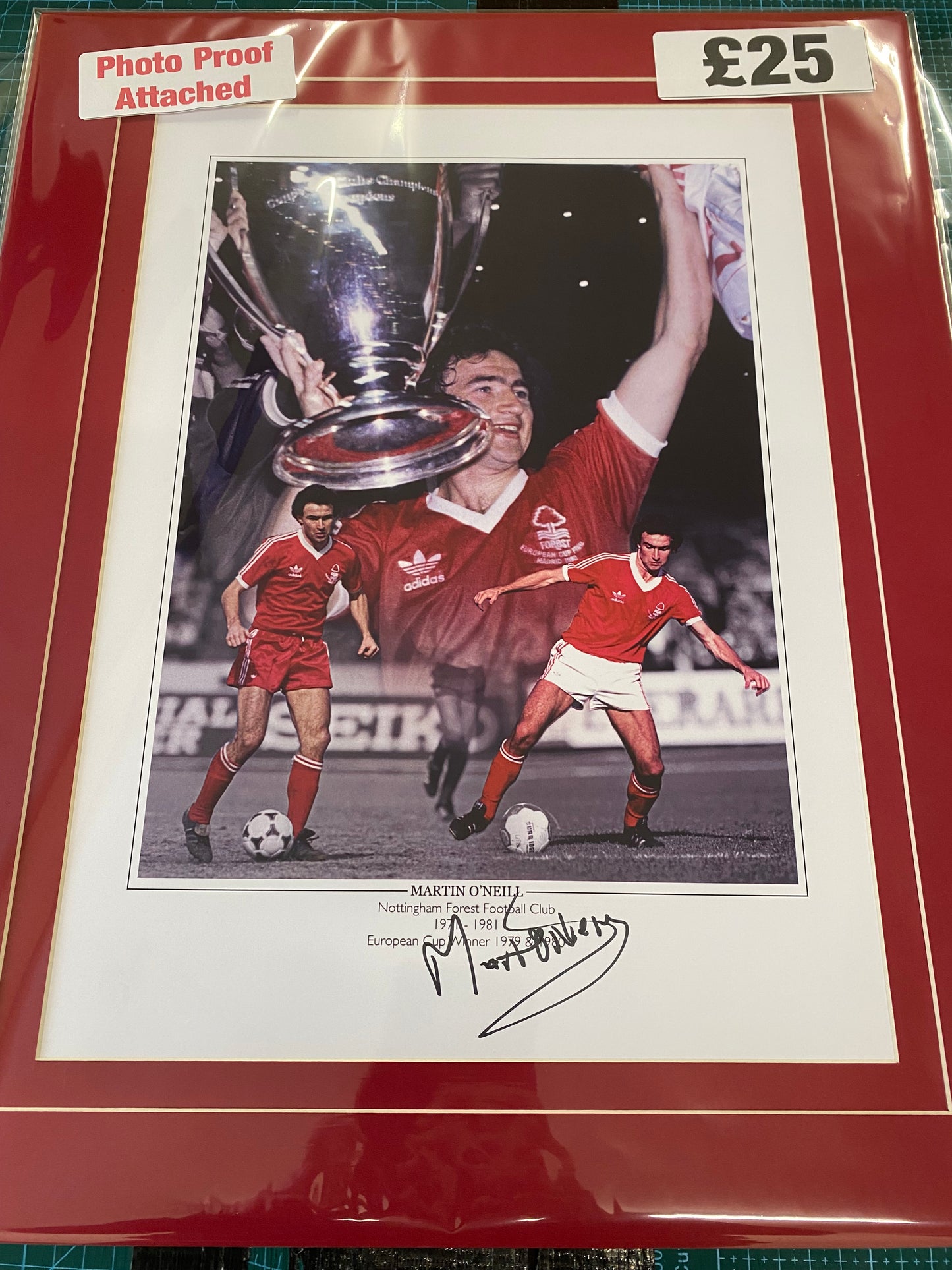 Nottingham Forest Martin O’Neil personally signed limited edition print