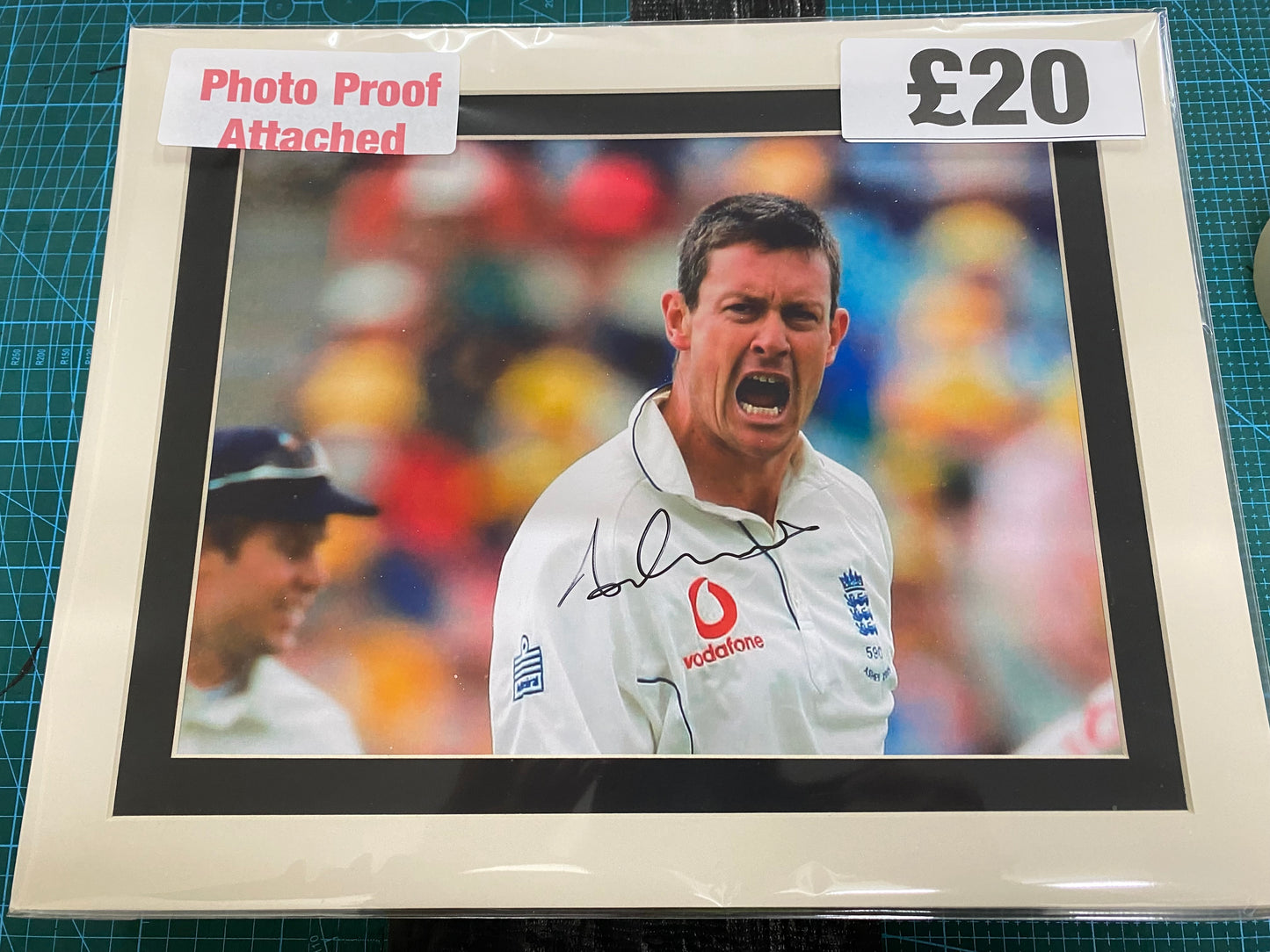 Cricket England Ashley Giles 2005 Ashes personally signed photograph