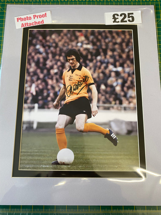 Wolverhampton Wanderers Kenny Hibbitt personally signed photograph