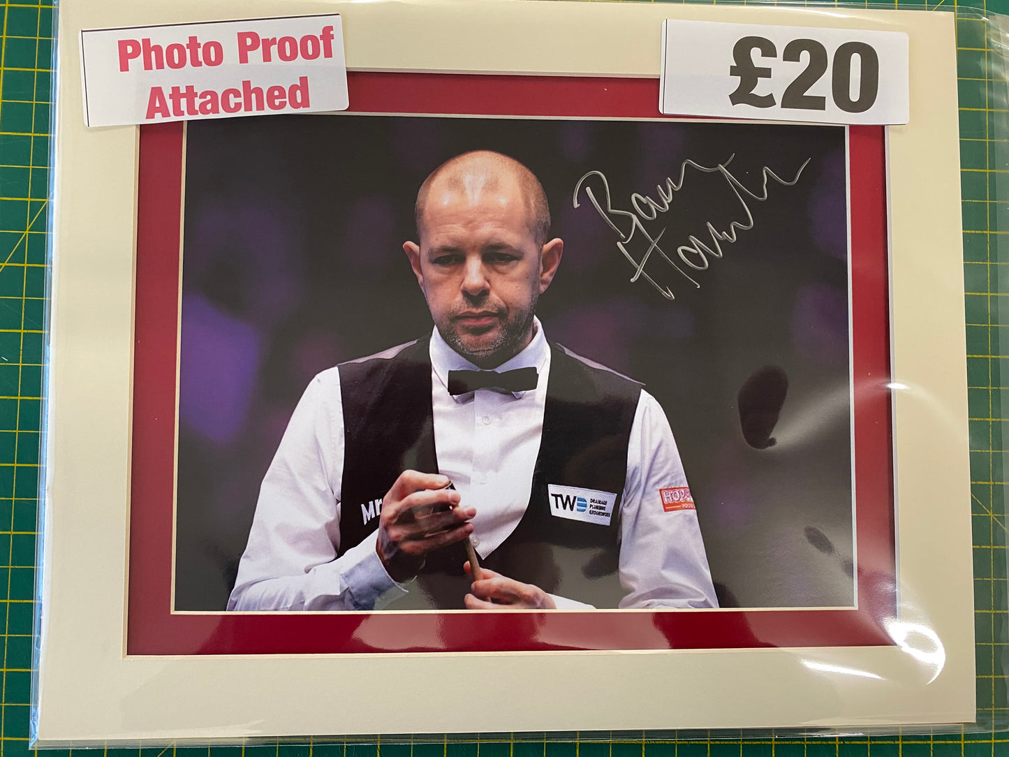 Snooker Barry Hawkins personally signed photograph