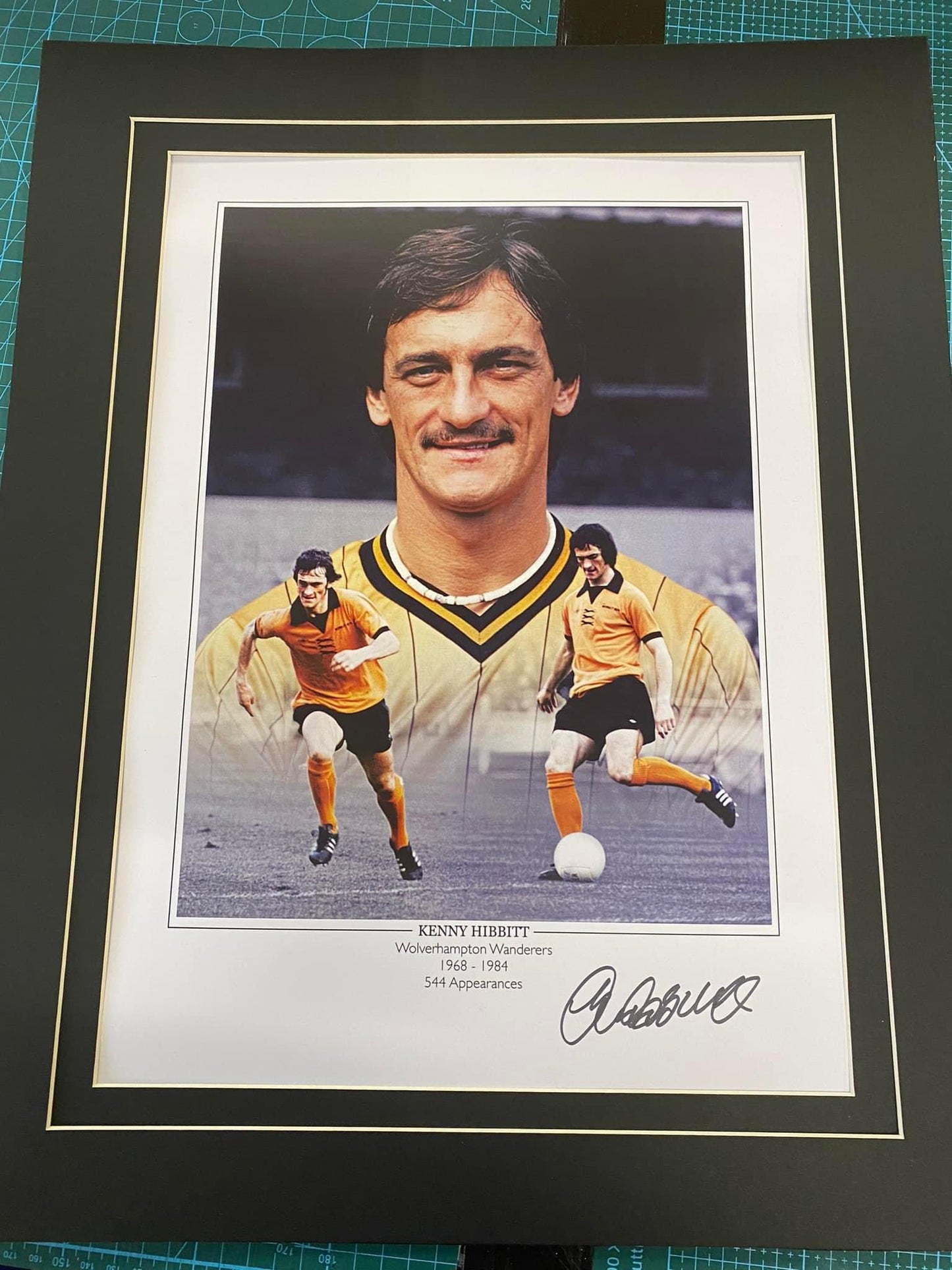 Wolverhampton Wanderers Kenny Hibbitt personally signed limited edition print