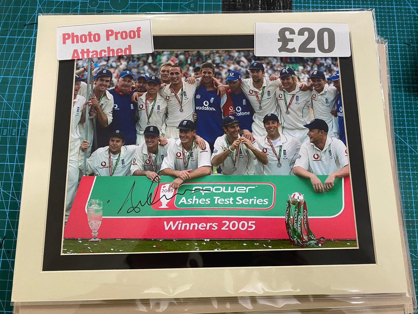 Cricket England Ashley Giles 2005 Ashes personally signed photograph