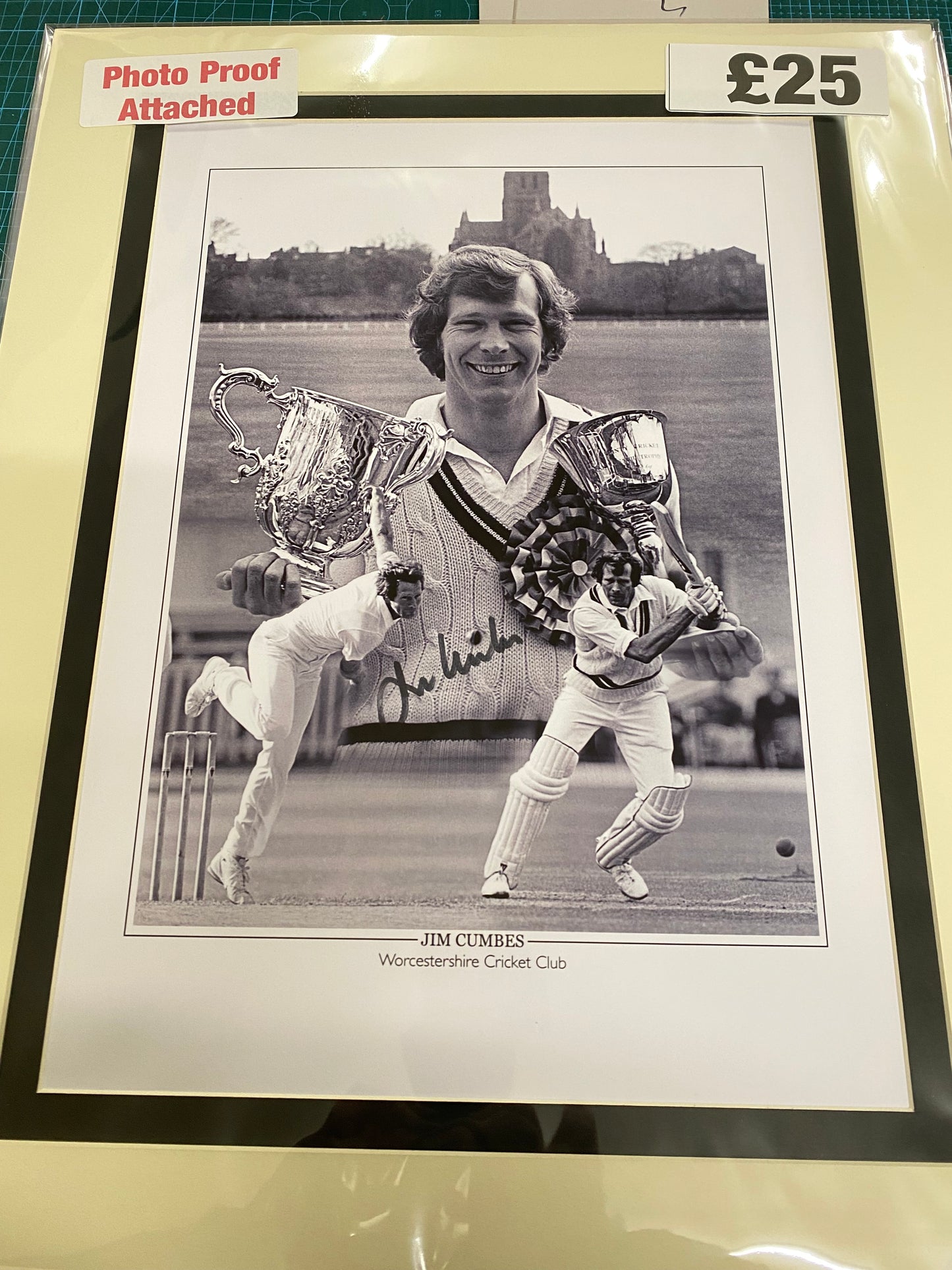 Cricket Jim Cumbes personally signed limited edition print