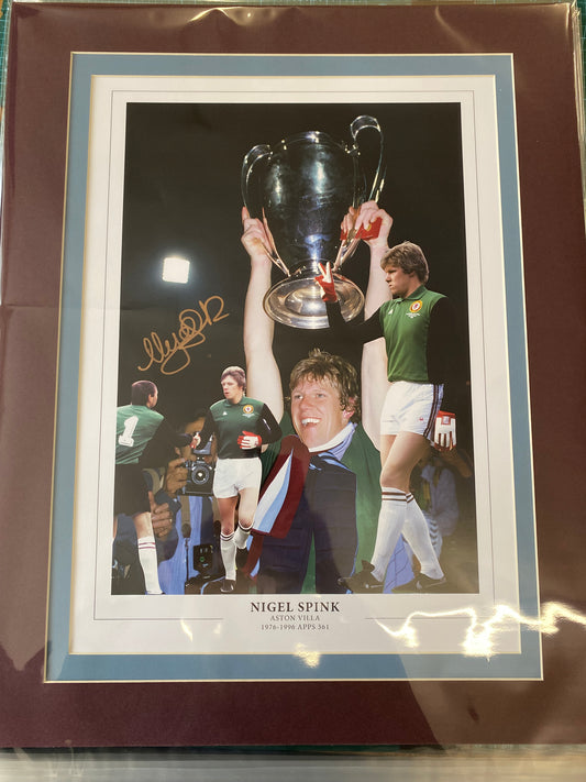 Aston Villa Nigel Spink 1982 European Cup personally signed limited edition print