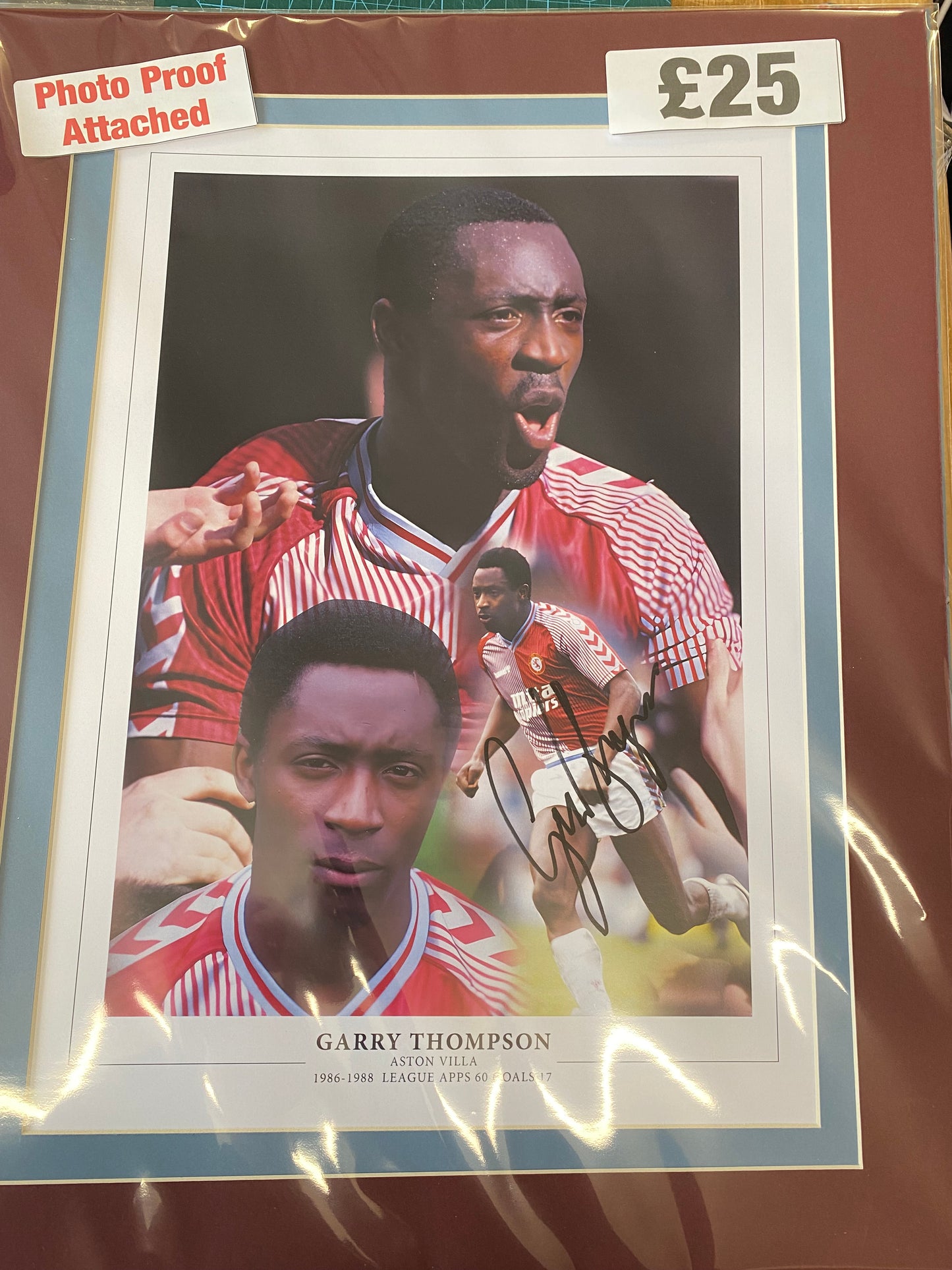 Aston Villa Garry Thompson personally signed limited edition print