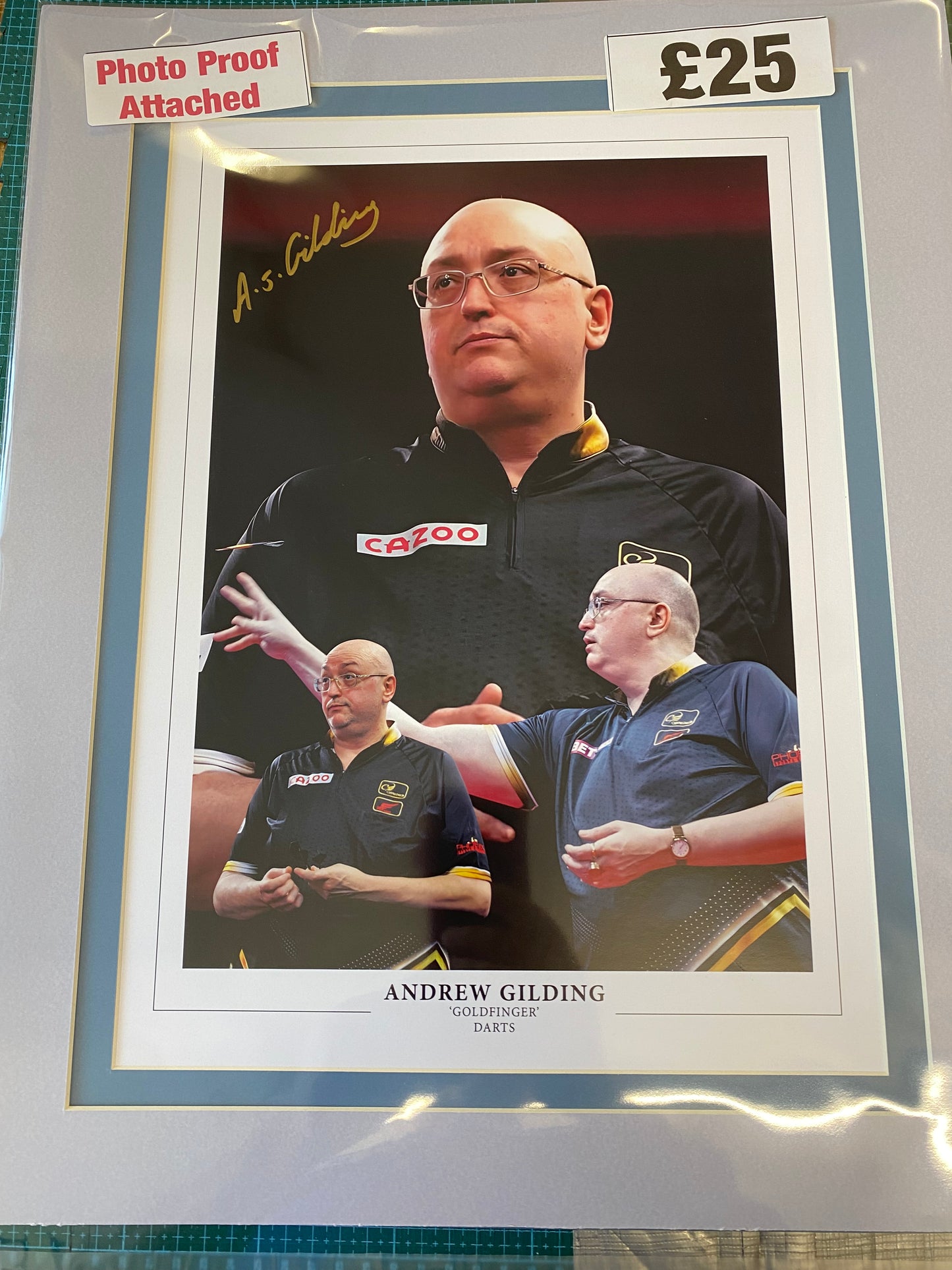 Darts Andrew Gilding personally signed limited edition print