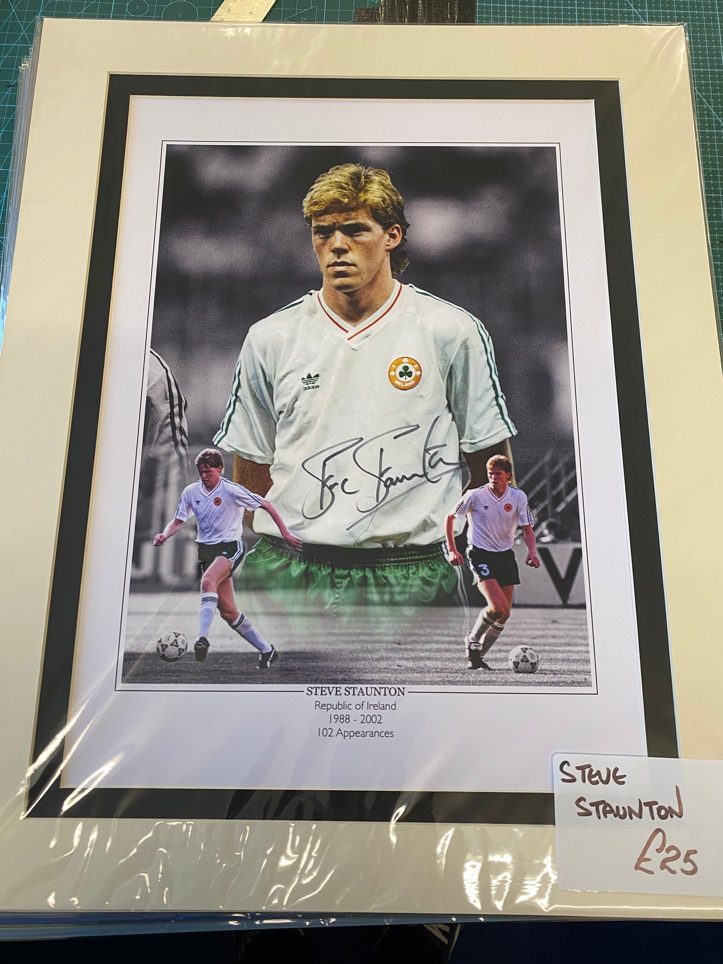 Ireland Steve Staunton player personally signed limited edition print