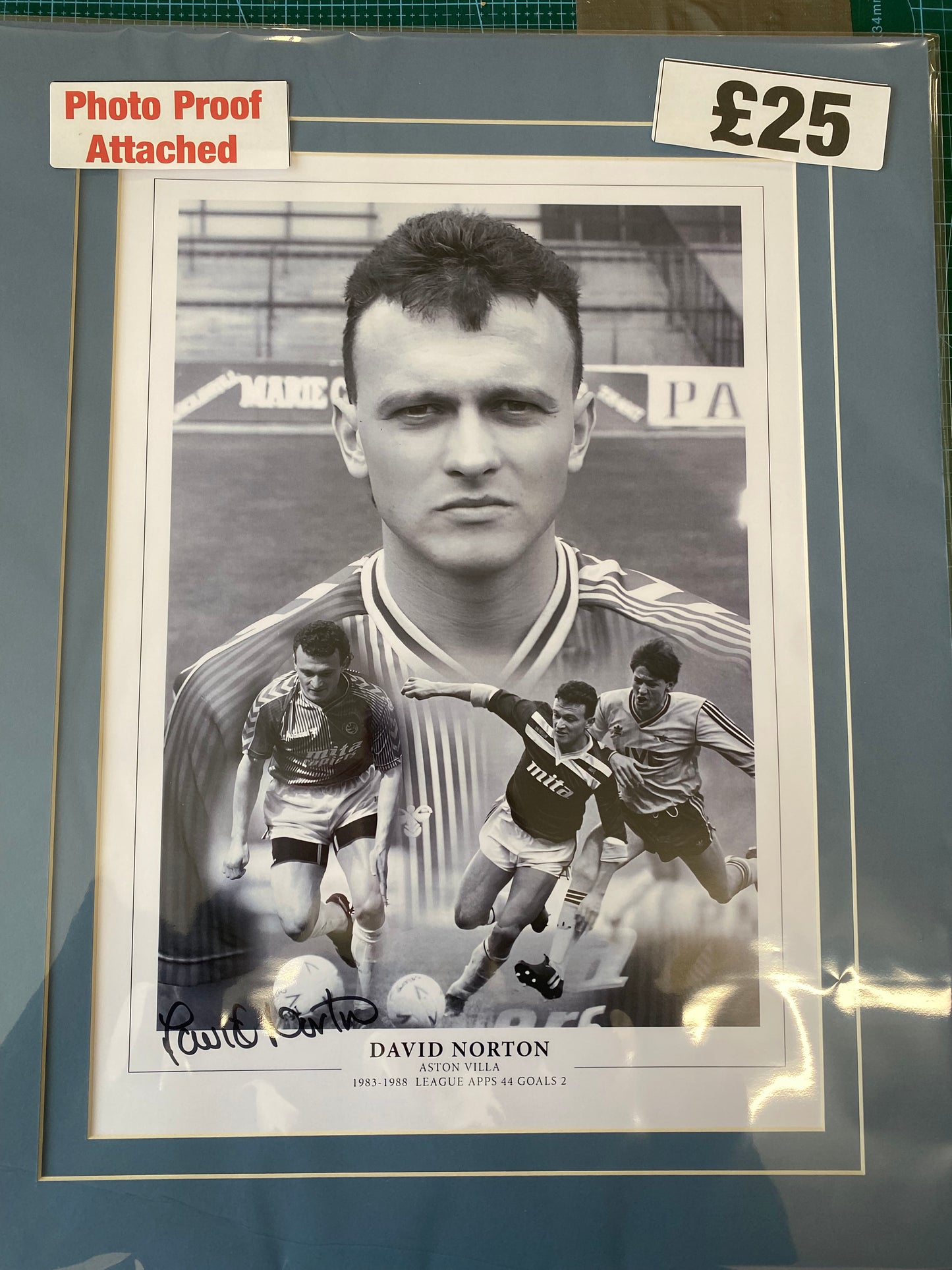 Aston Villa David Norton personally signed limited edition print