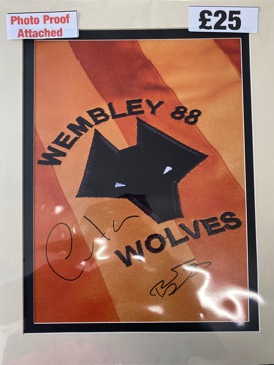 Wolverhampton Wanderers 1988 Sherpa Van poster personally signed by goal scorers Robbie Denison & Andy Mutch