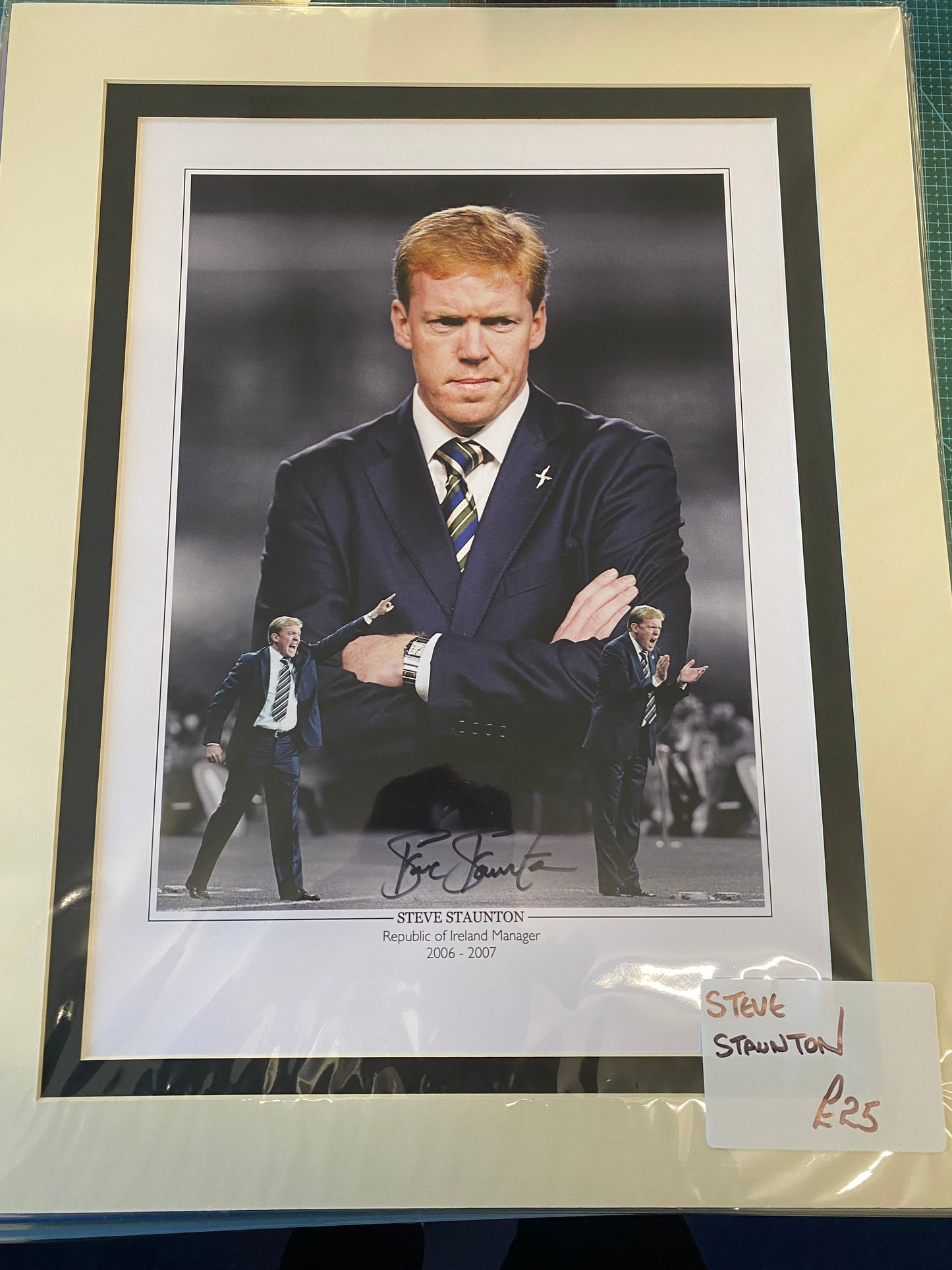 Ireland Steve Staunton personally signed limited edition print