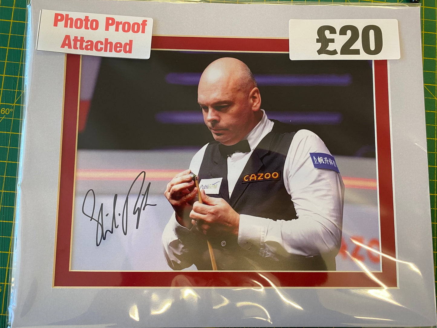 Snooker Stuart Bingham personally signed photograph