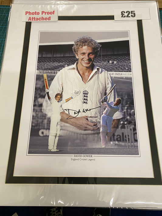 Cricket England David Gower personally signed limited edition print