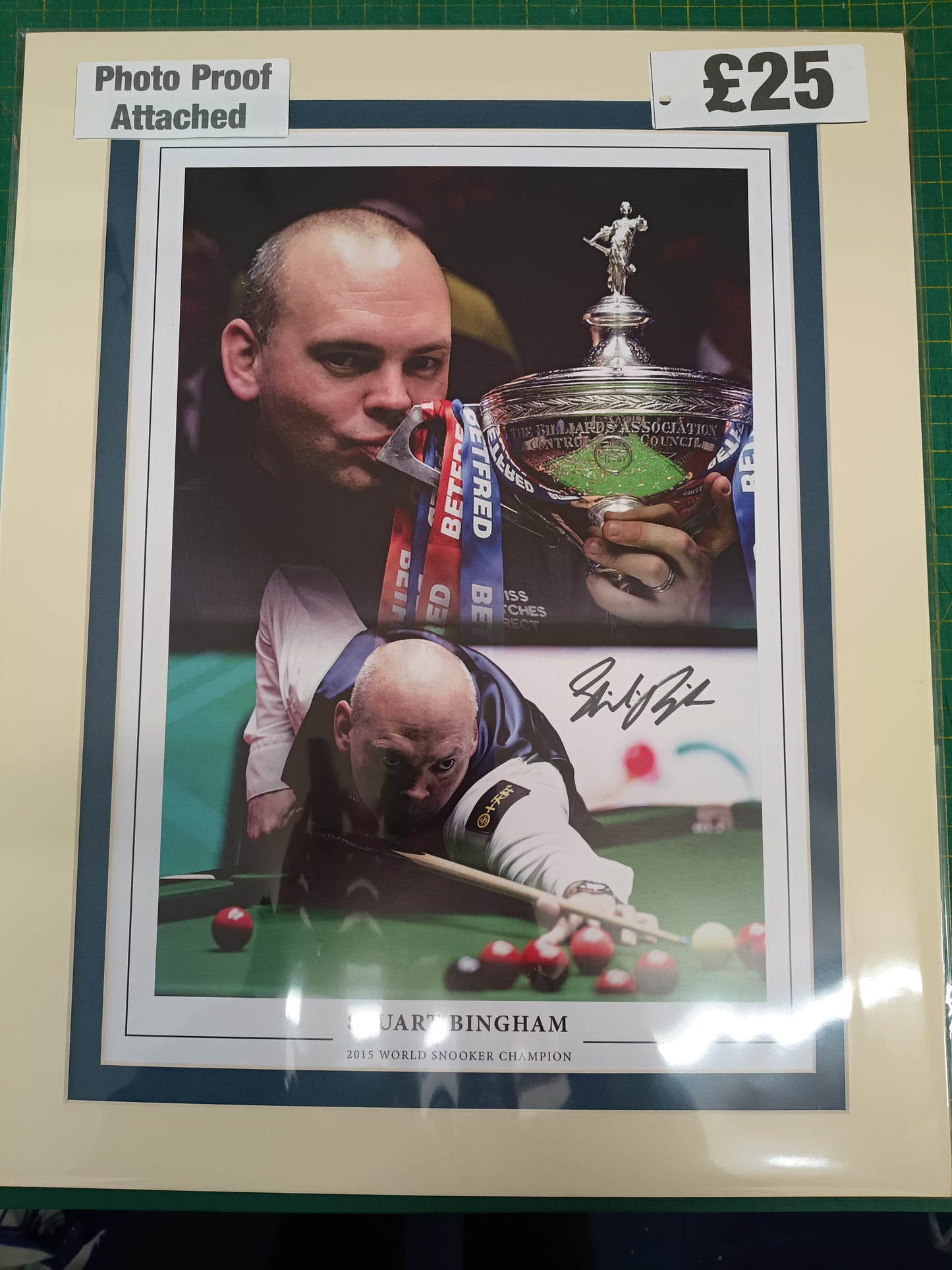 Snooker Stuart Bingham personally signed montage