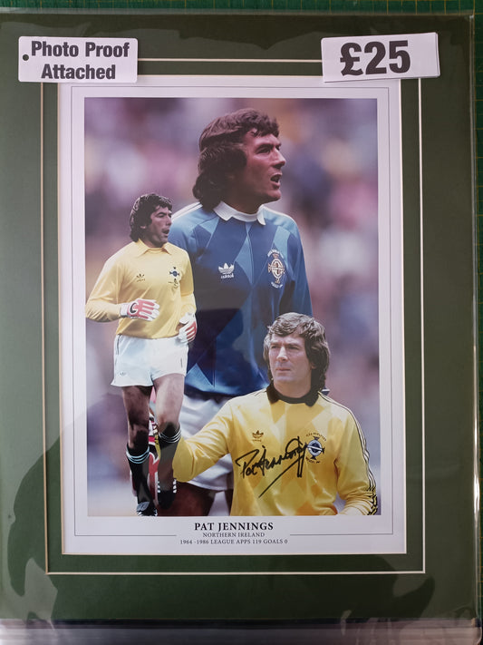 Northern Ireland Pat Jennings personally signed montage