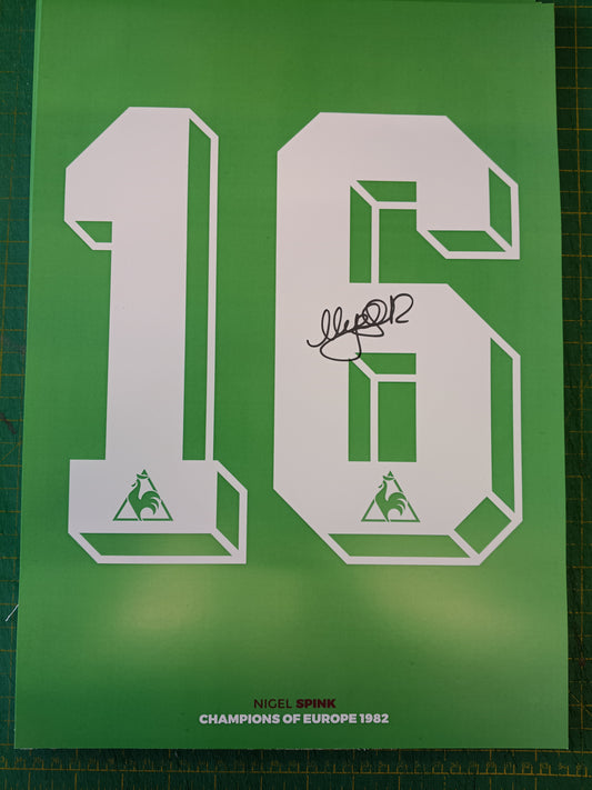 Aston Villa Nigel Spink personally signed 16