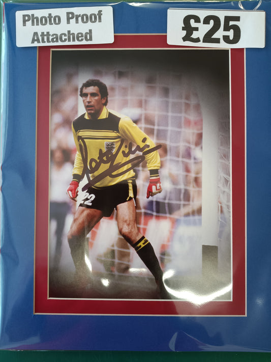 England Peter Shilton personally signed display