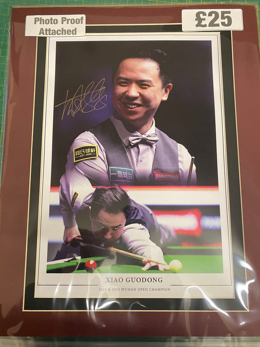 Snooker Xiao Guiding personally limited edition montage