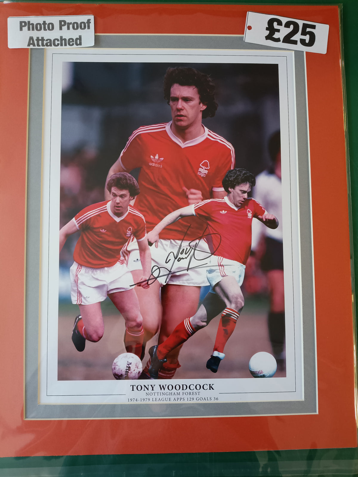 Nottingham Forest Tony Woodcock personally signed montage