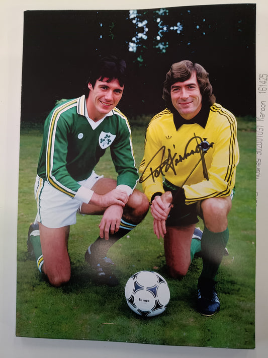 Northern Ireland Pat Jennings personally signed photograph