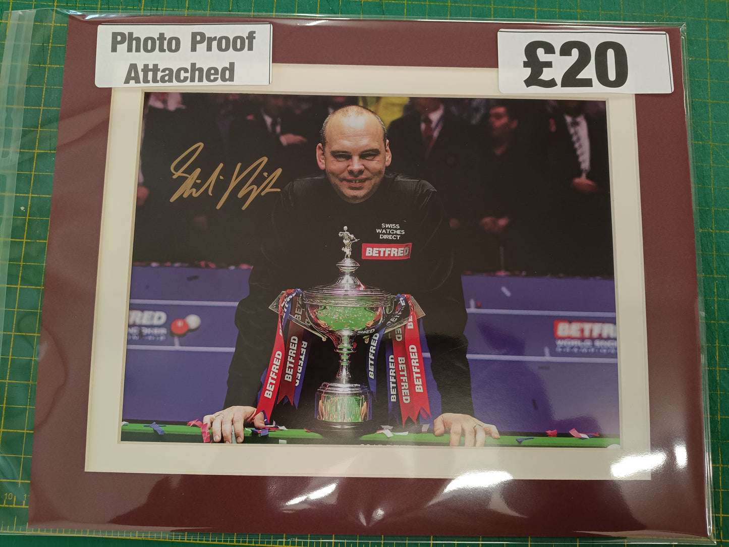 Snooker Stuart Bingham personally signed photograph