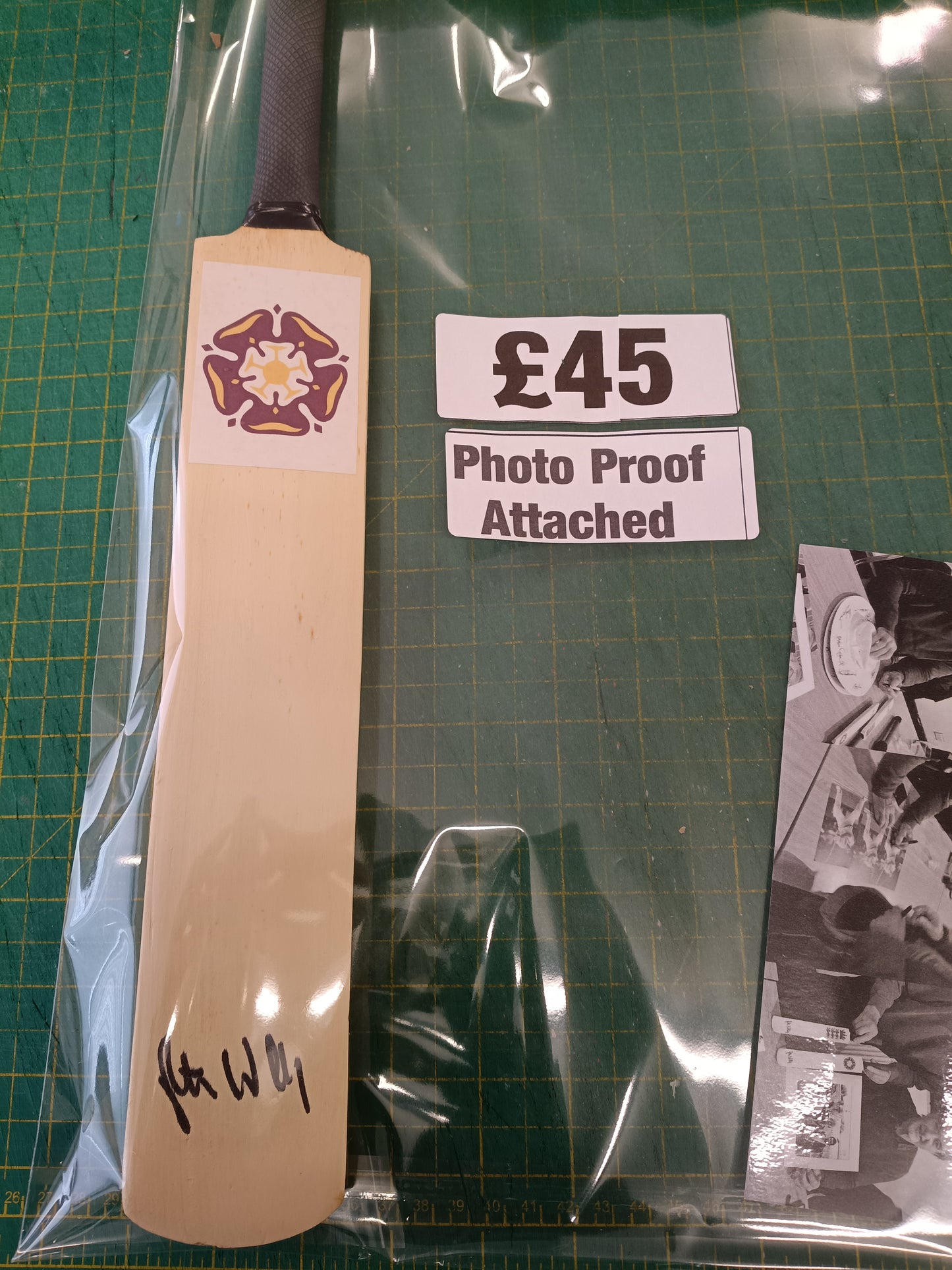 Cricket Northamptonshire Peter Willey personally signed mini cricket bat