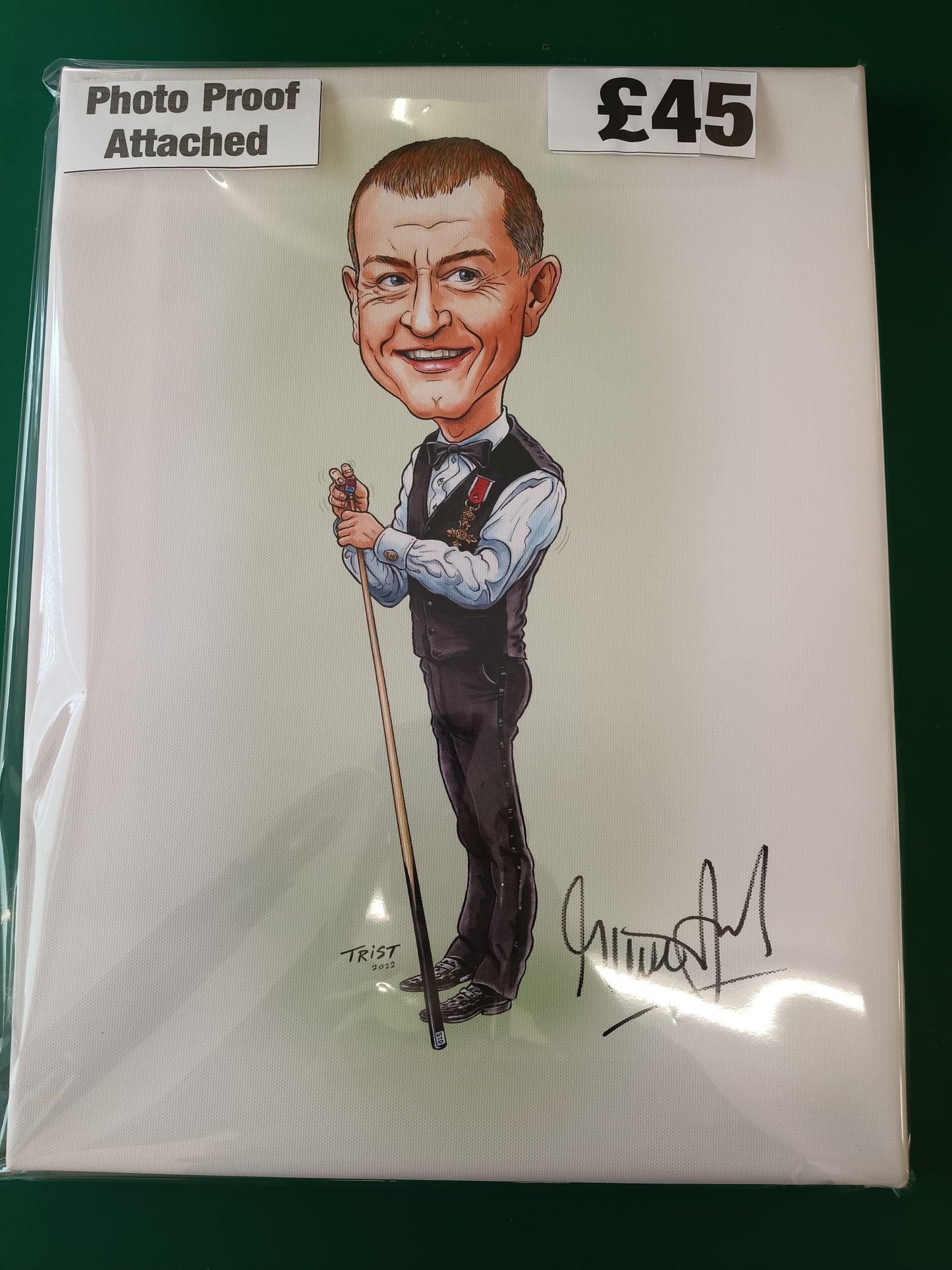 Snooker A3 Steve Davis personally signed canvass