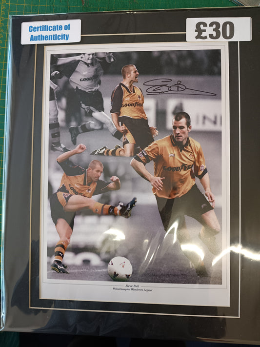 Wolverhampton Wanderers Steve Bull personally signed montage
