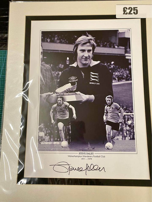 Wolverhampton Wanderers legend Steve Daley limited edition print
