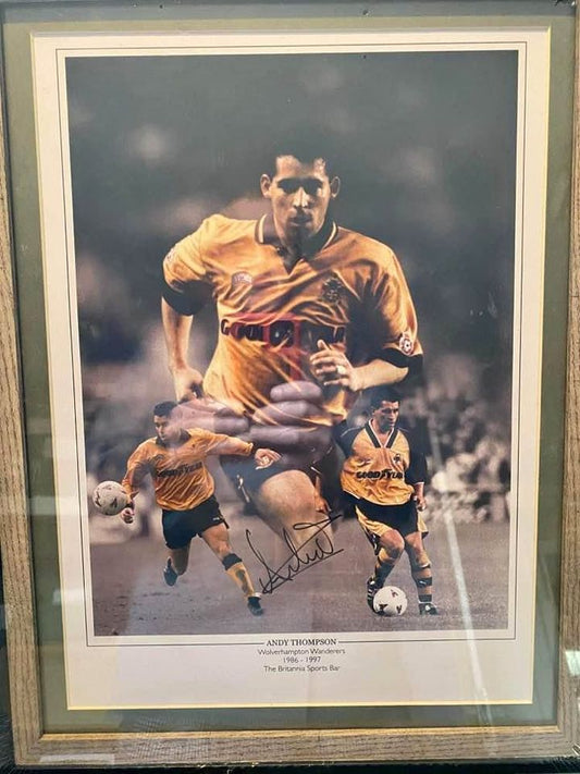Wolverhampton Wanderers Andy Thompson Legend